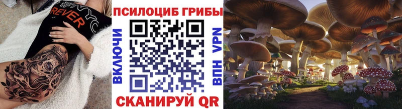 Псилоцибиновые грибы Cubensis наркота Электроугли